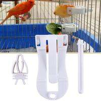 BENGPEN Atiel Parakeet ของสัตว์เลี้ยงขนาดเล็กสัตว์ผักเครื่องให้อาหารตัวป้อนนกแก้วอาหารนกผู้ถือคลิปปลาหมึก