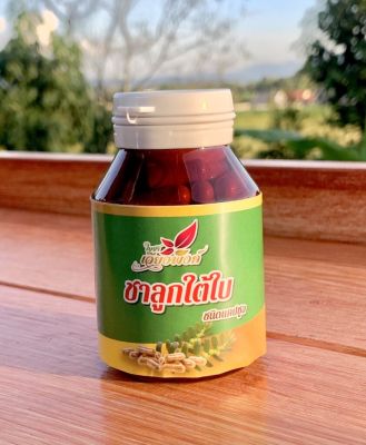 ใต้ใบ แคปซูล ลูกใต้ใบชนิดแคปซูล Phyllanthus niruri capsules บรรจุ 100 เม็ด ไรสารเคมี 100 % สมุนไพรบำรุงตับ สำหรับผู้รักสุขภาพ สินค้าคุณภาพ มาตรฐานผลิตภัณฑ์ชุมชน Organic Phyllanthus Amarus ชาสมุนไพร ลูกใต้ใบ สมุนไพรชั้นเลิศ สำหรับผู้ที่ต้องการดูแลรักษาตับ