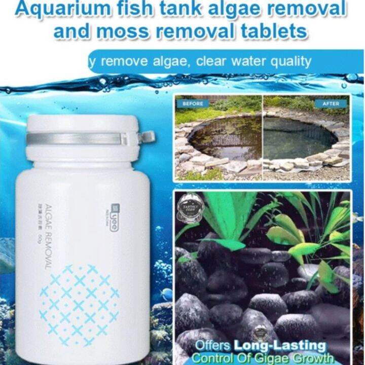 Superlife Algae removal and moss removal Aquarium algae removal potion