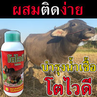 ⭐ผสมติดง่าย⭐ ฮอร์โมนบำรุงควาย ยาเร่งควายโต 1 ลิตร ยาบํารุงวัวผอม ยาบํารุงวัวผอม ยาบำรุงวัวให้อ้วน ยาบำรุงระบบสืบพันธุ์วัว วิตามินบำรุงระบบสืบพันธุ์วัว ยาบำรุงกล้ามเนื้อวัวชน อาหารเสริมบํารุงวัว ยาบำรุงวัวควาย ยาบํารุงวัวขุน วิตามินบำรุงวัว โตไวดี