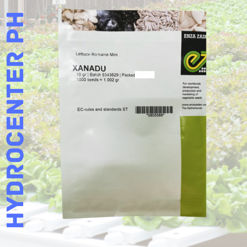 XANADU MINI ROMAINE LETTUCE SEEDS BY ENZA ZADEN Lazada PH
