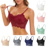 HOT ZHOJXKZHK  631[HOT W] Soutien-Gorge Sexy En Dentelle สำหรับผู้หญิง Hautmes Confortable Couleur Unie Sous-Vêtements ชุดชั้นในเซ็กซี่ Ajouré Sans Fil Sans Couture