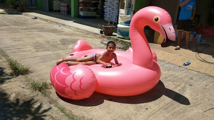 morestech-แพยางเป่าลม-นกฟลามิงโก้สีชมพู-giant-flamingo-inflatable