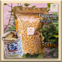 (ตรานกอินทรีย์ )(500กรัม) เมล็ดข้าวโพดดิบ เม็ดข้าวโพด Popcorn ป๊อปคอร์น ข้าวโพดคั่ว แบบ Mushroom มัชรูม เมล็ดกลมใหญ่ ป๊อบกลมสวย เกรดพรีเมี่ยม