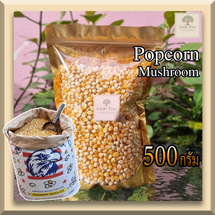 ตรานกอินทรีย์-500กรัม-เมล็ดข้าวโพดดิบ-เม็ดข้าวโพด-popcorn-ป๊อปคอร์น-ข้าวโพดคั่ว-แบบ-mushroom-มัชรูม-เมล็ดกลมใหญ่-ป๊อบกลมสวย-เกรดพรีเมี่ยม