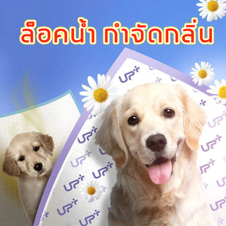 จัดส่งวันนั้น-แผ่นรองฉี่สนุข-nbsp-แผ่นรองฉี่สนุข-nbsp-ผ้ารองฉี่สุนัข-nbsp-แผ่นรองฉี่สุนัข-nbsp-แผ่นรองซับฉี่-nbsp-แผ่นรองฉี่หมา-nbsp-แผ่นรองฉี่แมว-nbsp-แผ่นรองซับสัตว์เลี้ยง-nbsp-size-nbsp-l-nbsp-60-6