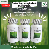 (4 กระปุก ) ผลิตภัณฑ์เสริมอาหารวีทกราส อัลฟาลฟา พลัส ผักอัดเม็ดของแท้ สูตรดั้งเดิม ? จากบริษัทแอมสตรอง Wheatgrass &amp; Alfalfa Plus