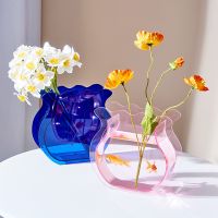 Nordic Home Decoration Vase Rainbow Acrylic Transparent Ins Household Vase Living Room Desktop Terrarium Decoration Accessories