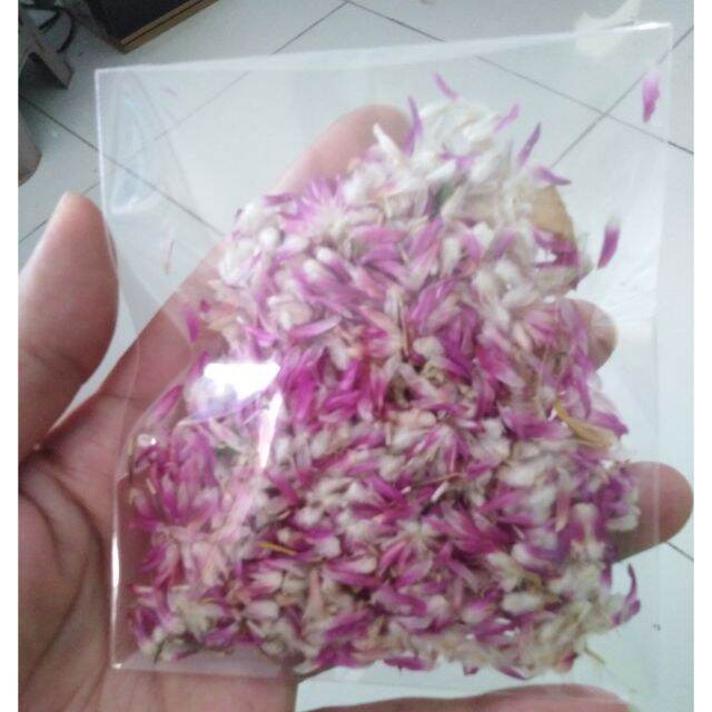 เมล็ดพันธุ์-บานไม่รู้โรย-คละสี-gomphrena-mix-seed-ดอกไม้-พรรณไม้-คุณภาพ-100-เมล็ด-ปลูกง่าย-ออกดอกบ่อย-ทนฝน-ทนแดด