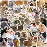 【LZ】☑□  Bonito Meme Animais Adesivos Gato Gatinho Skate Guitarra Mala Congelador Motocicleta Decalque de brinquedo clássico Adesivo engraçado 50Pcs