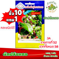 (ซื้อ10แถม1) เมล็ดพันธุ์ ผักปลังแดง Red Ceylon Spinach ประมาณ 30เมล็ด 3A สามเอ ผักสวนครัว เมล็ดพันธุ์พืช เมล็ดผัก เม็ดผัก พืชผัก