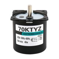 70KTYZ 220V AC 40W Gear Motor Permanent Magnetic Synchronous Motor