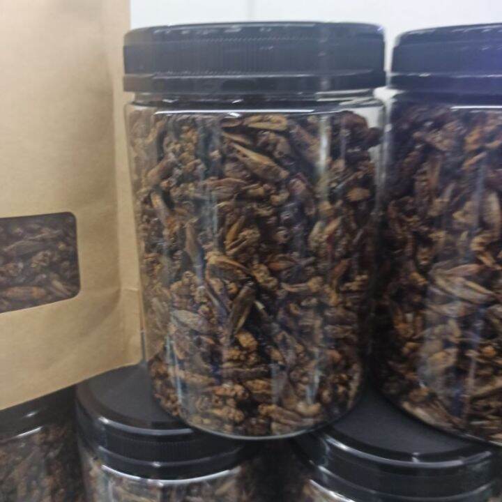 NEW AQUAZOOM DRIED CRICKET 230g reptile food arowana food bearded