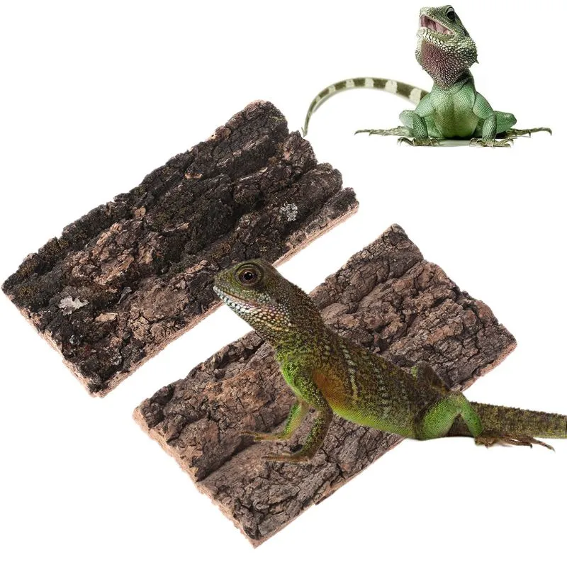 Color Changing Lizards Petco