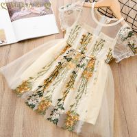 Girls Dress 2023 New Embroidery Flower Dress Design Toddler Baby Girls Dress Lace Princess Party Birthday Tutu Dress for Girls  by Hs2023