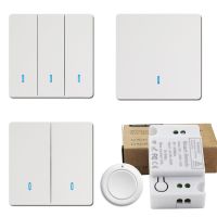 1/2/3 Gang Wireless Wall Switch RF 433Mhz Interruptor LED Push Button Switch Light Switch Remote Control 86 Standard Size 10A