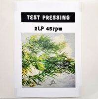 ดนู ฮันตระกูล - เสียงใบไผ่ (Speed 45 Test Pressing)