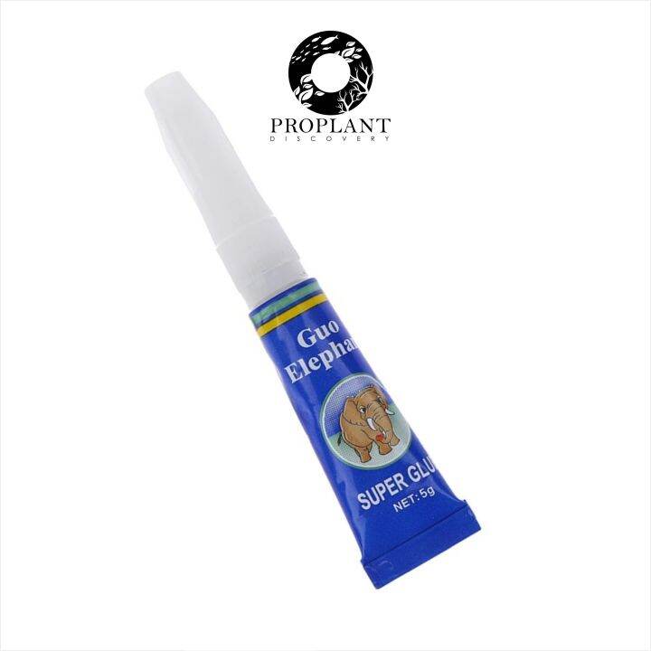 🔥GUO Elephant Plant Instant Glue🔥 Aquarium / Paludarium / Terrarium