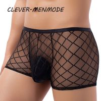 Mens Sexy Transparent Lace Panties Fishnet Sheer Boxer Shorts Breathable Low Rise Lingerie Exotic Costume Mesh Outfit