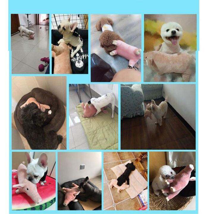 1pcs-pet-dog-cat-funny-fleece-durability-plush-dog-toys-squeak-chew-sound-toy-chewing-dogs-pet-interactive-training-pet-supplies-toys