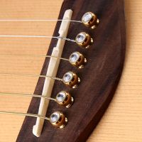 Better Resonance Fixed Cone Bridge Pins Strings Nail Copper Acoustic Guitar Fixed Cone Bridge Pin for Beginner