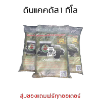 ดิน แคคตัสพร้อมปลูก 1 กิโลกรัม เหมาะสำหรับปลูกต้นกระบองเพชร | Soil ready-to-plant cactus 1 kg. Suitable for planting cactus.