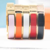 Luxury Designer Jewelry Bracelets Stainless Steel Gold Colorful Party Couple Gift 12Mm Cuff Bracelet For Women Men High Quality