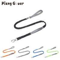 Pet Elastic Leashes Comfort Handle Reflective Cat Dog Leash Outdoor Walk Training Traction Rope