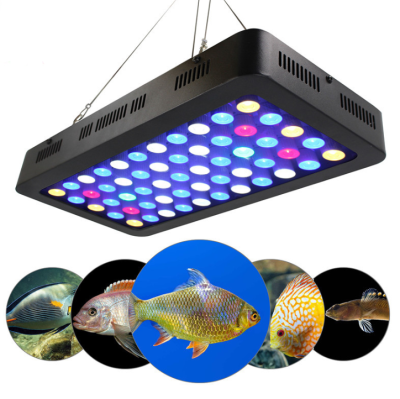 ไฟ LED ตู้ปลาทะเล 55 หลอด x 3 W Full Spectrum ปรับหรี่แสงได้ มีพัดลมระบายอากาศในตัว (ส่งจากประเทศไทย)