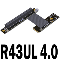 PCI-E 4.0 16x X16 Extender เพื่อ M2 M.2 NVMe M-Key ไรเซอร์การ์ดสายไฟต่อ Gen4.0 64Gbps พร้อมสายไฟ Sata