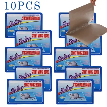 Buy See Inside Catch Mouse Rat Glue Traps, Mouse Insect Rodent Lizard Trap  Rat Catcher Adhesive Sticky Glue Pad for Rats/Lizards/Cockroaches/Ants/Mouse/Rodents  (Pack of 5) Live Trap Online at Best Prices in India 