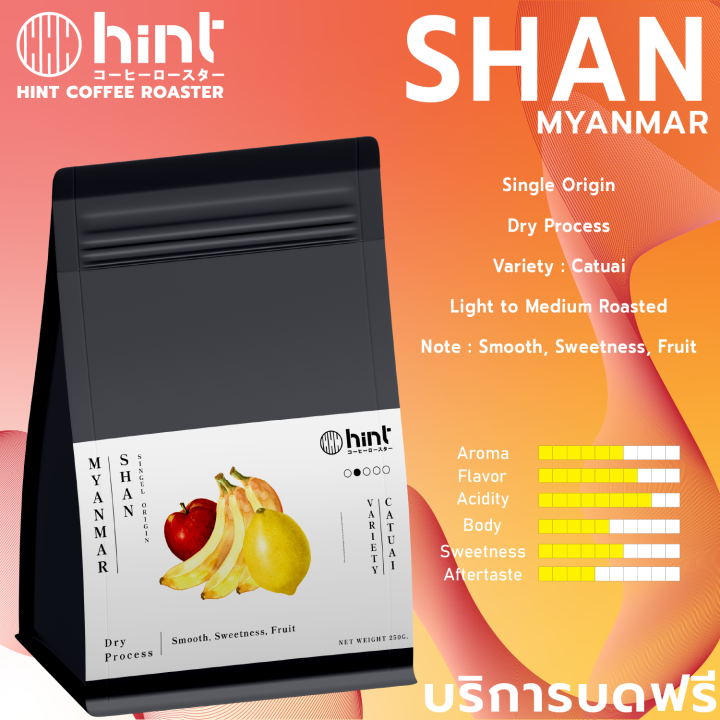 เมล็ดกาแฟคั่ว-myanmar-shan-dry-คั่วอ่อน-light-to-medium-roast-hint-coffee-roaster