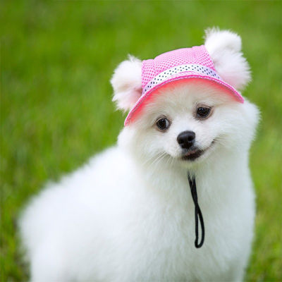 หมวกกันแดดสำหรับสุนัขหมวกสุนัขน่ารักลำลองกลางแจ้งสำหรับสุนัขลูกสุนัขสวมใส่กลางแจ้ง