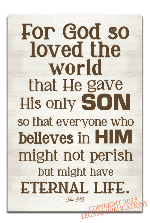 John 3:16 For God So Loved The World Bible Verse Motivational ...