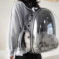 cat bag out portable type of pet backpack transparent large dog packs