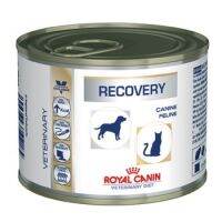 นาทีทอง ส่งฟรี Royal canin recovery