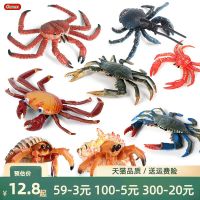 【STCOK】 Childrens Marine Life Model Toy Simulation Solid Safflower Crab Swimming Big King Animal Decoration