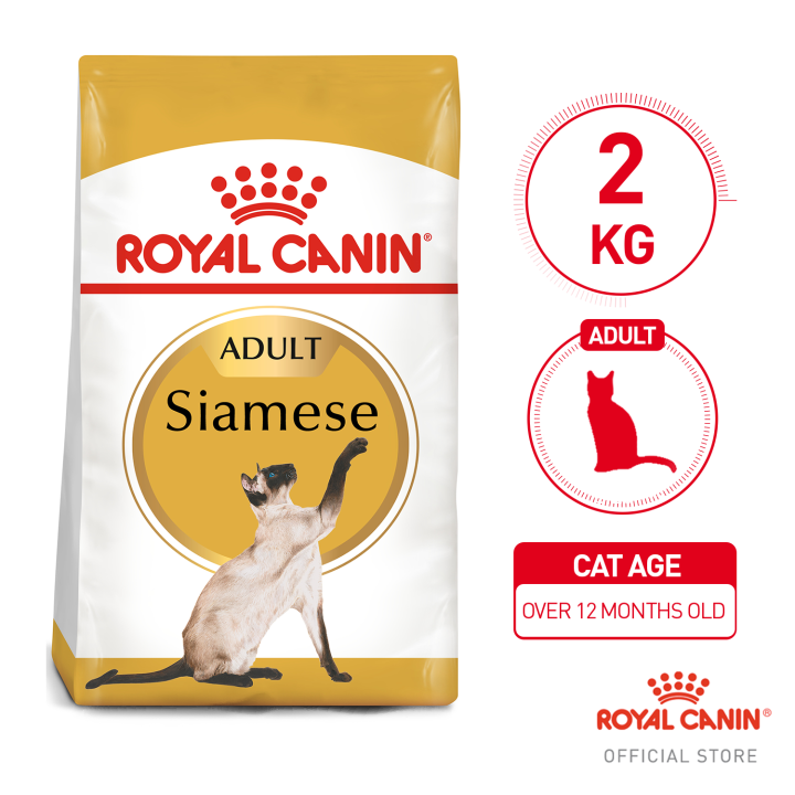 Royal canin siamese 2025 dry cat food