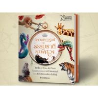 NMB สัตว์มหัศจรรย์กับธรรมชาติสุดพิศวง ในโลกเวทมนตร์จาก Fantastic Beasts ของ J.K. Rowling