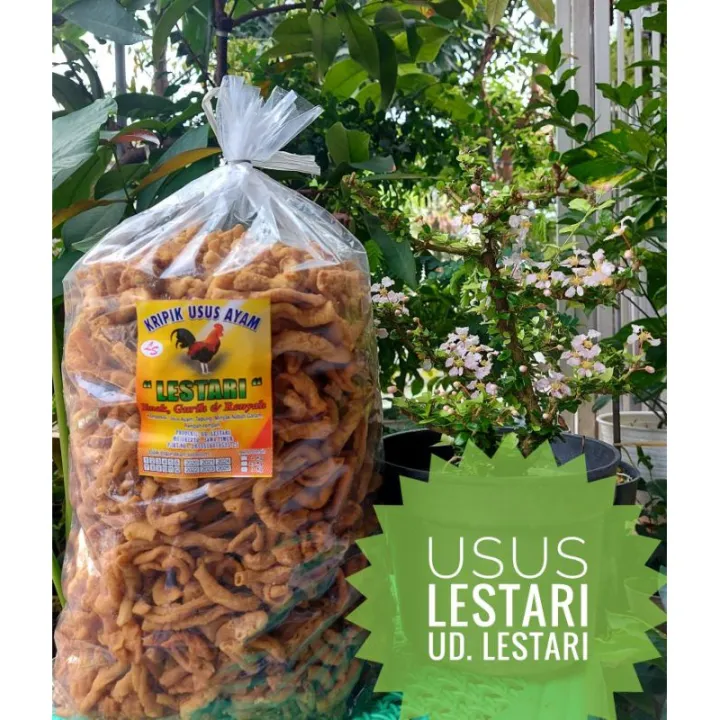 Keripik Usus Ayam 2kg Kripik Usus Crispy Kripik Usus Ayam Ukuran