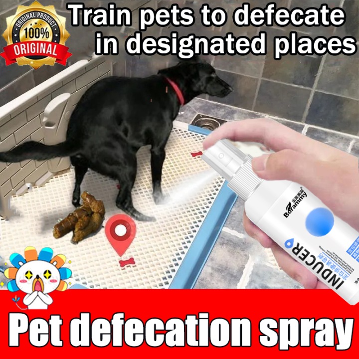 Borammy Pet Potty Trainer for Dogs Pet Potty Training Spray Potty Spray