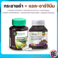 อาหารเสริมท่านชาย herbs บำรุงกำลังบุรุษ กระชายดำแคปซูล1 กระชายดำสกัดเข้มข้น 60 แคปซูล