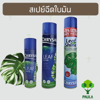 Paula Chrysal Leaf shine คริสซอล สเปรย์ฉีดใบเงา ฉีดใบมัน เคลือบเงาใบไม้ ขนาด 250 มล 600 มล. และ 750 มล