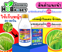 ชุดเก็บหญ้า แซดสแตนด์10+ดิสแบค20 1ลิตร+10กรัม*10ซอง (ไซฮาโลฟอป+บิสไพรีแบค) เก่งใบแคบ หญ้าข้าวนก