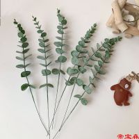 [COD] Ins style retro eucalyptus money leaf branch fresh simulation green plant fake flower arrangement decoration