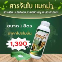 สารจับใบแมกม่า (1ลิตร 1ขวด)  Silicone wetting10% สารจับใบของแท้ ตัวช่วยประหยัดปุ๋ย ฮอร์โมนพืช สารศัครูพืชให้แทรกซึมผ่านใบได้ดีขึ้น10 เท่า ส่งฟรี