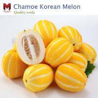 เมล่อนเกาหลี ชาแมร์ Chamoe Korean Melon รสหวานกรอบ (20เมล็ด)