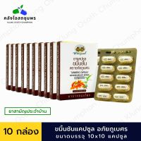 อภัยภูเบศร ยาแคปซูลขมิ้นชัน ตราอภัยภูเบศร 400mg 10x10 แคปซูล