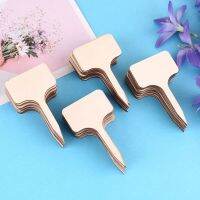 50pcs Wooden Cube Small Blackboard Tags DIY Plant Label Garden Markers Handmake