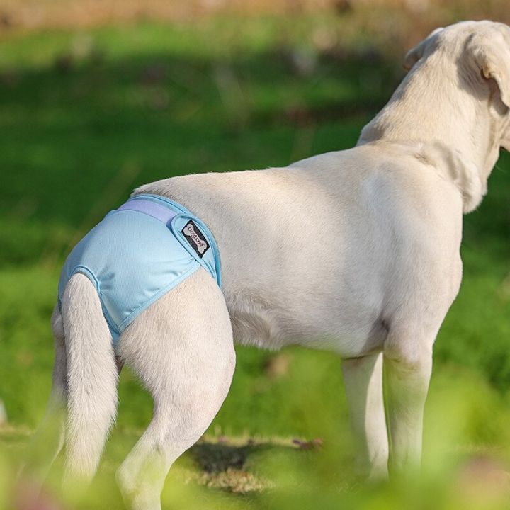 jill-กางเกงกางเกงในสัตว์เลี้ยงสัตว์เลี้ยง-ผ้าอ้อมสุนัขระบายอากาศได้ดีสามารถซักได้ป้องกันการรบกวนจากสัตว์เลี้ยงผ้าอ้อมสุนัข